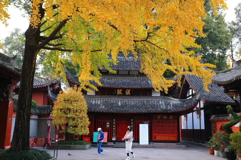 四川企业数字化转型：软件开发与数字化平台建设方案解析