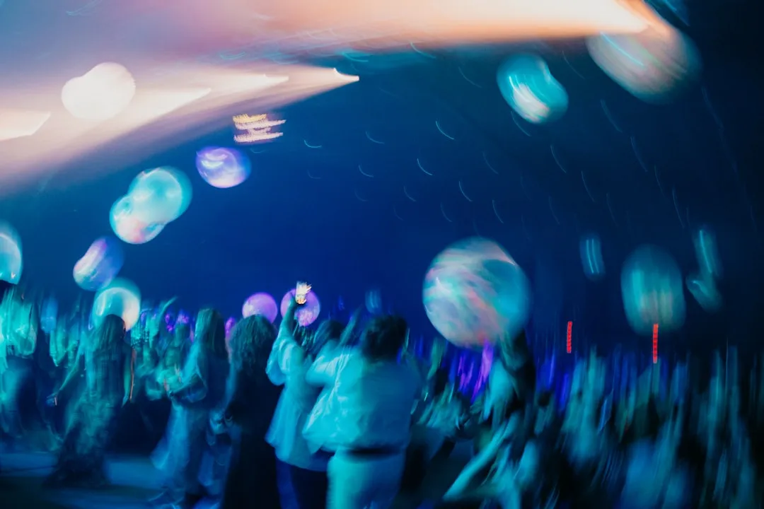 四川科技企业软件开发趋势：定制化方案如何推动西南企业数字化转型正文配图 2