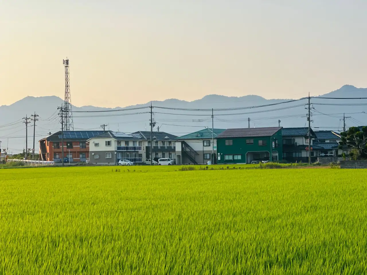 四川科技企业软件开发服务：如何选择适配业务需求的定制方案